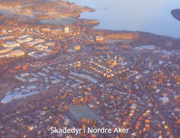 Skadedyrkontroll Nordre Aker